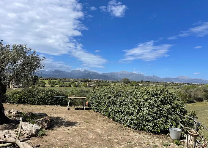 Finca Aigua- Sa Tanca De Can Vicens