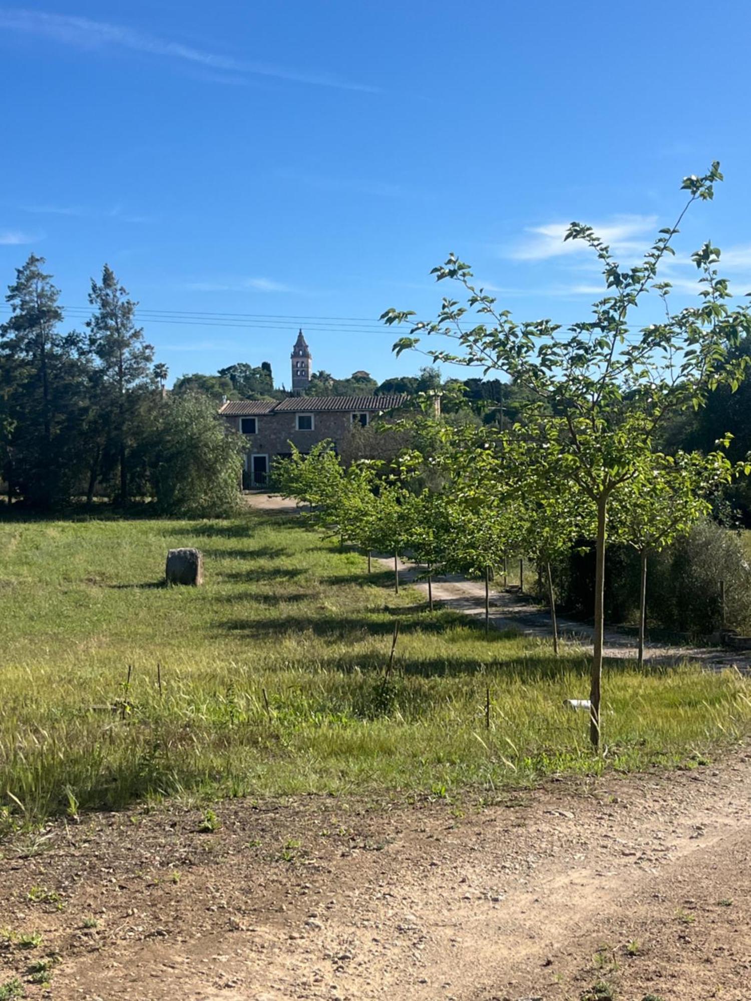 Aigua- Sa Tanca De Vicens Villa *